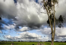 开云体育APP下载-欧洲名师争锋，看点十足的足球盛宴即将开幕的简单介绍