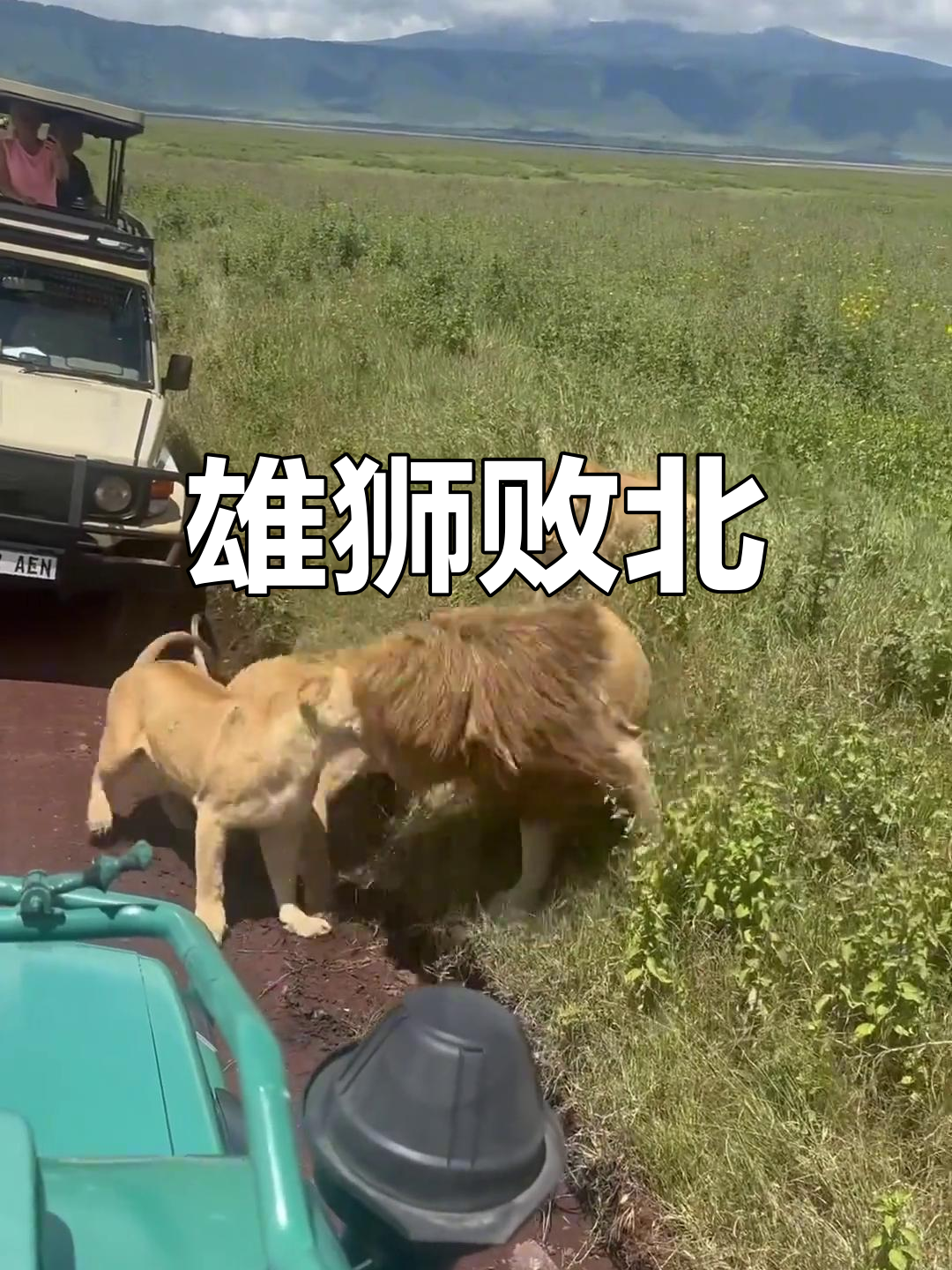 开云体育平台APP-雄狮不敌对手,败北后排名下滑的简单介绍