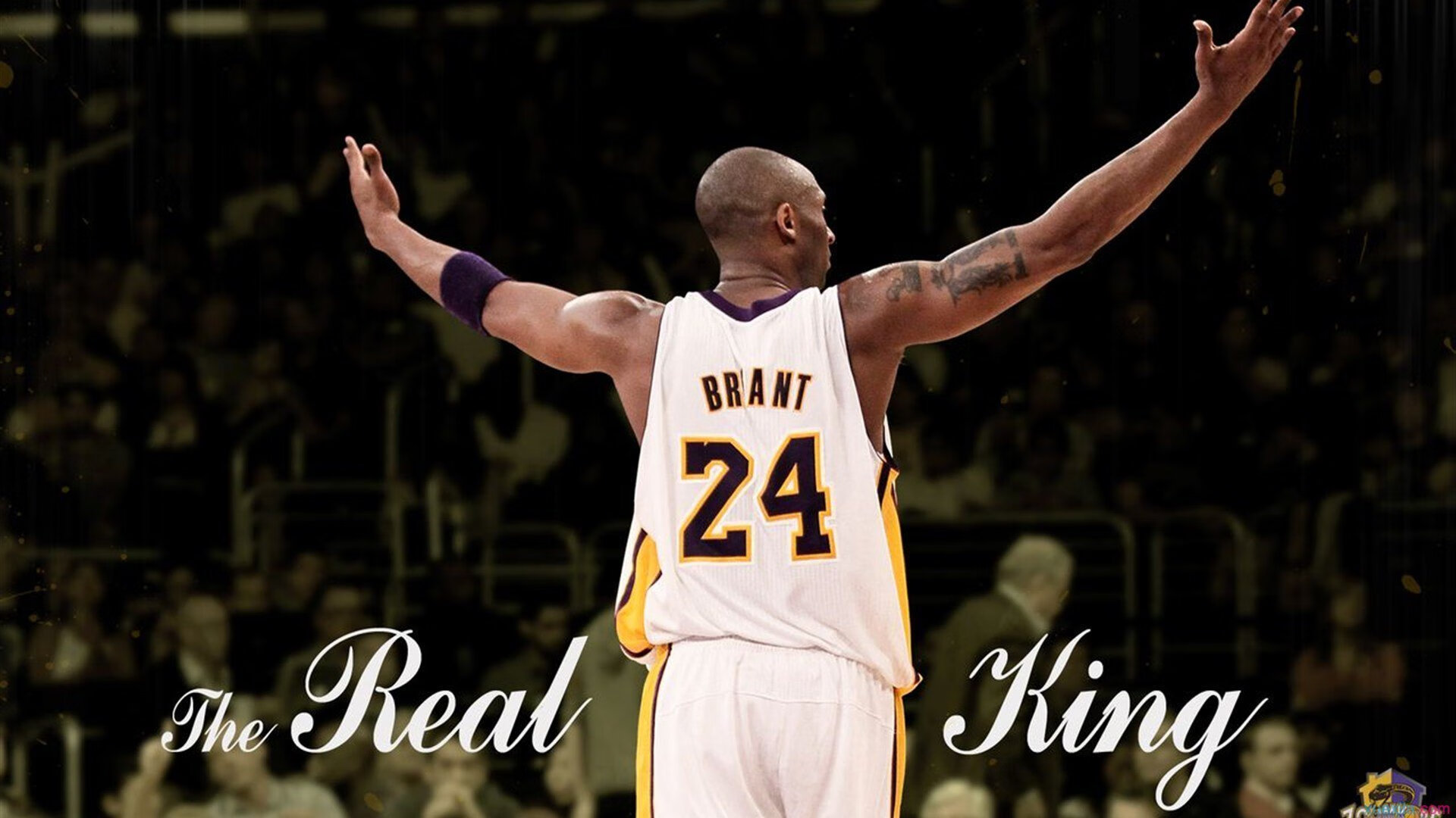 开云下载-德约科维奇带队碾压！蒙特卡洛大师赛如何让联合杯相形见绌？